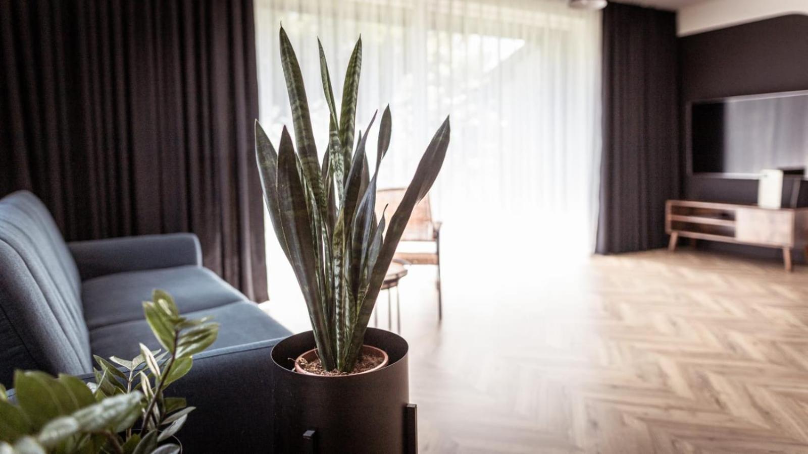 Apartments Abcd Biala Podlaska Luaran gambar
